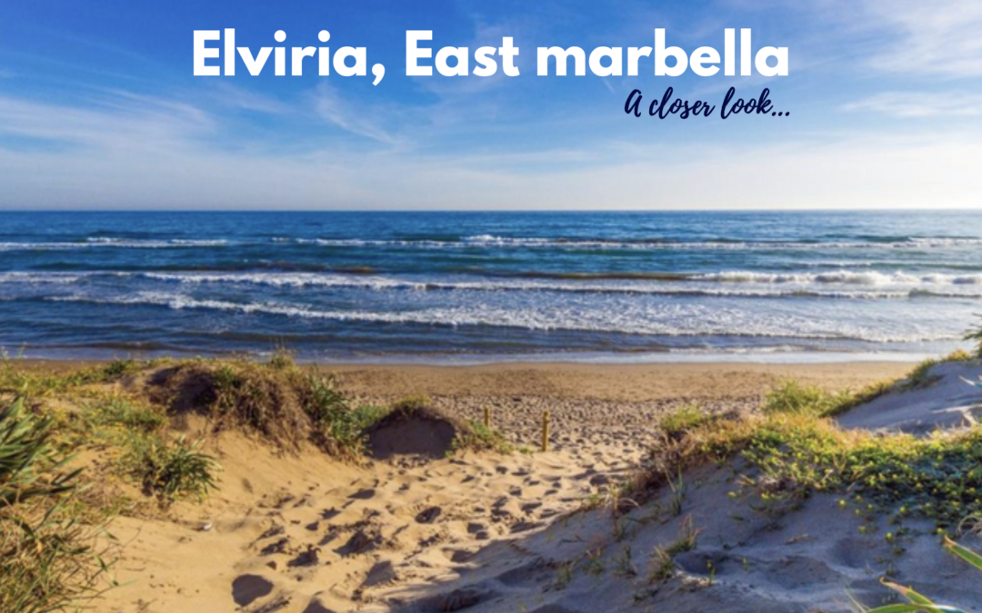 A Closer look at Elviria on the Costa del Sol