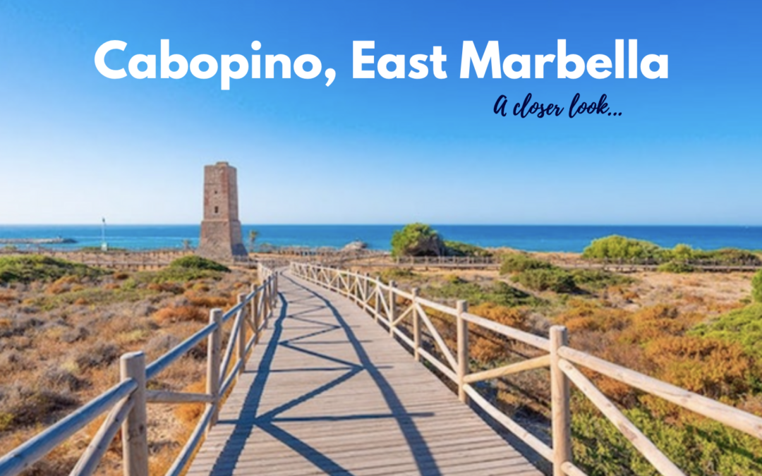Cabopino Port – A Favourite Among Expats and Holiday Makers