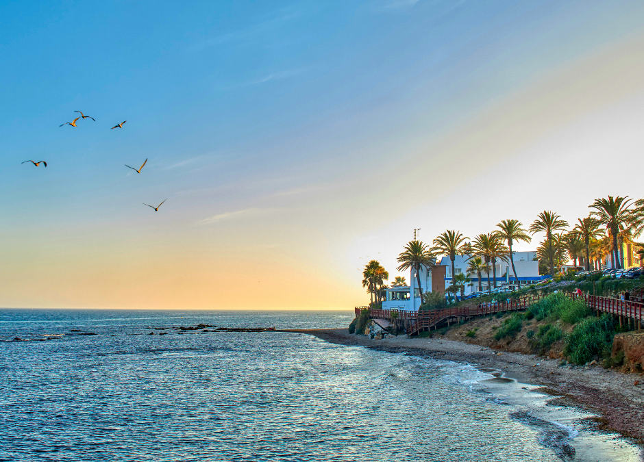 Embracing the Dutch Real Estate Market: Insights for Marbella Investors